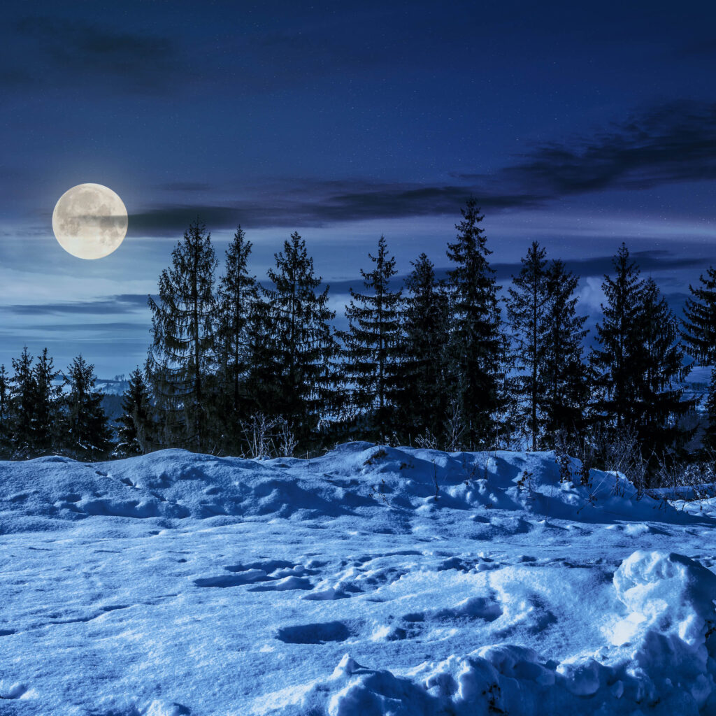 Moon over forest on snowy night March 2023