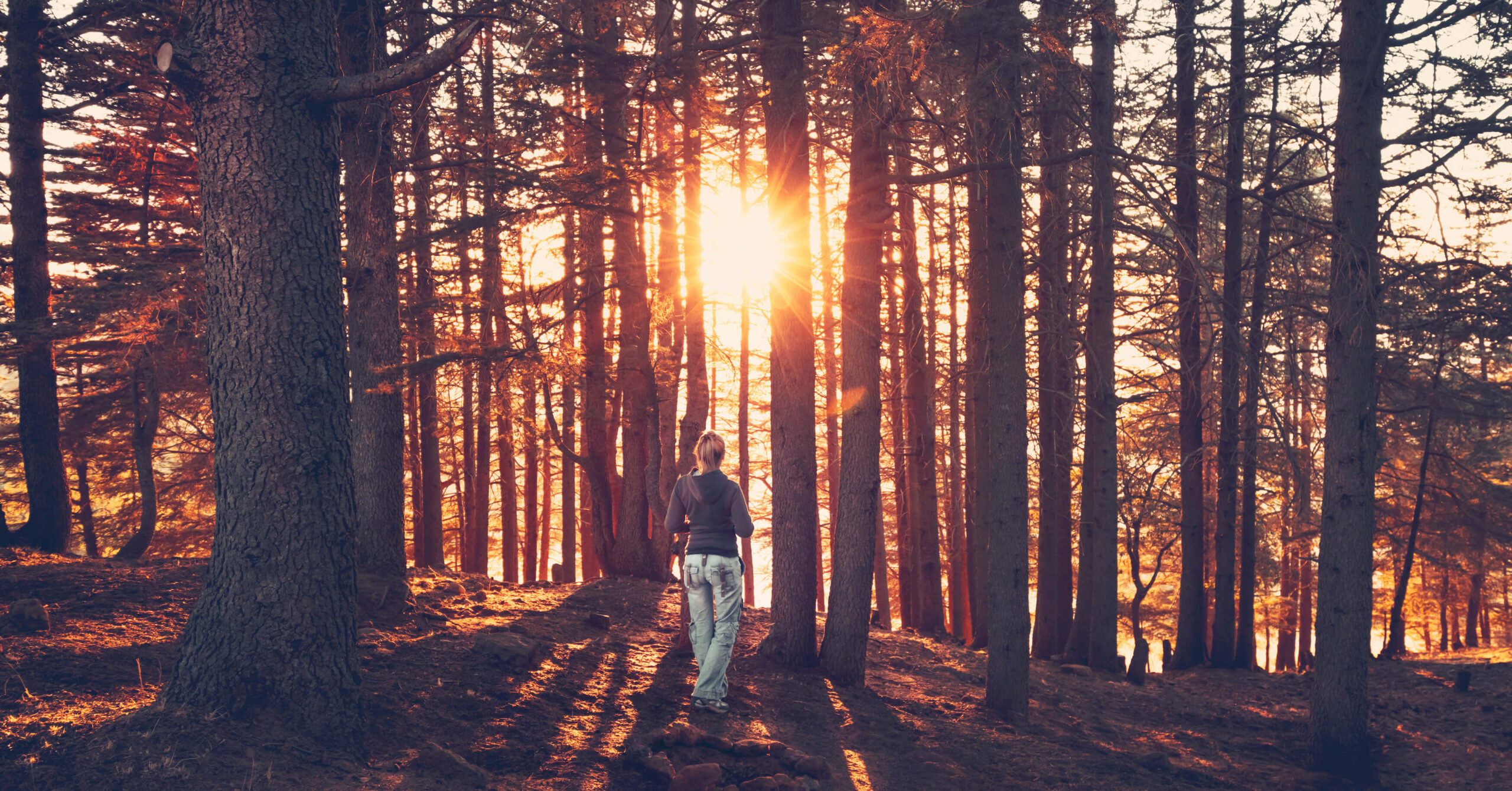 Woman in the woods with sun shining through the trees July 2023 featured
